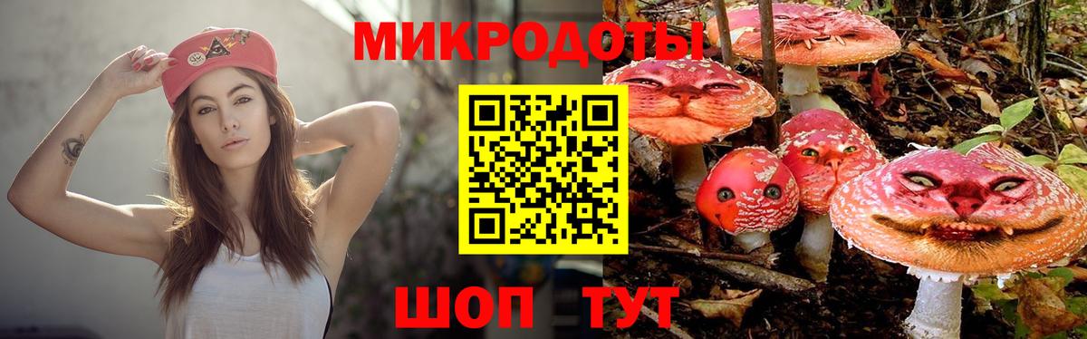 Галлюциногенные грибы мухоморы  Вход с VPN  Черкесск 